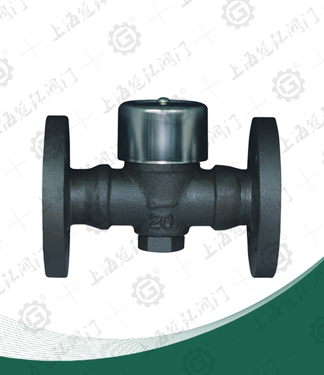 Thermodynamic Disc Steam Traps