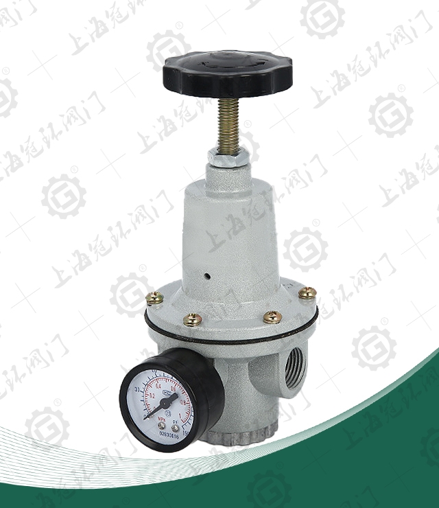 Air filtering and pressure relief valve