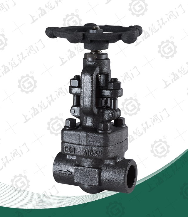 Forged Steel Internal Thread, Socket Welded Globe Valve