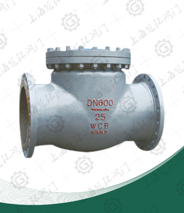 Cast steel swing check valve